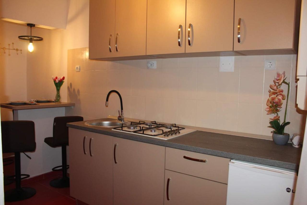 Apartament Dania & Petru Lägenhet Tîrgu Ocna Exteriör bild