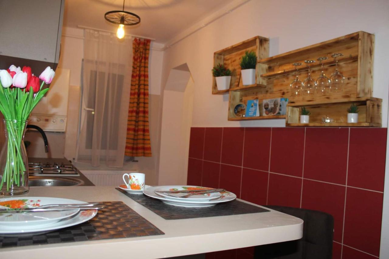Apartament Dania & Petru Lägenhet Tîrgu Ocna Exteriör bild